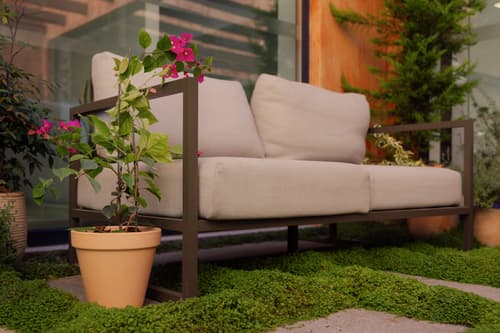 Jardim em vaso