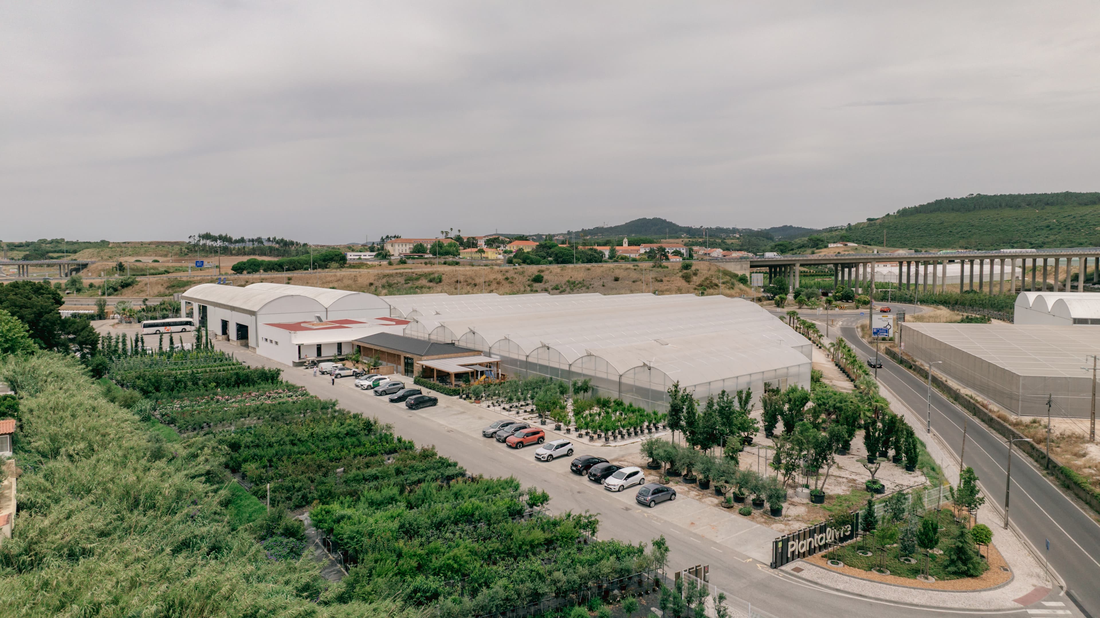 Mission — panoramic view of Sintra nursery