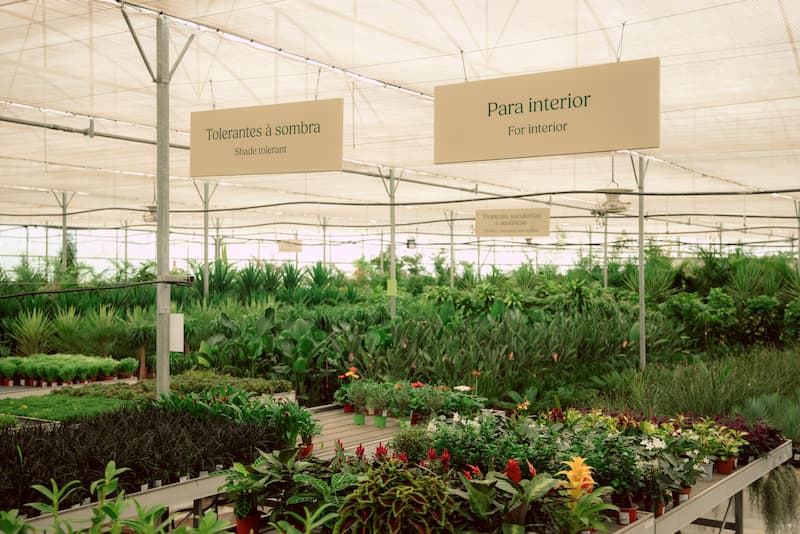 Spaces — store and atmosphere at Sintra Nursery